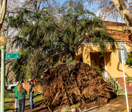 Four Ways To Avoid Scams After a Weather-Related Disaster