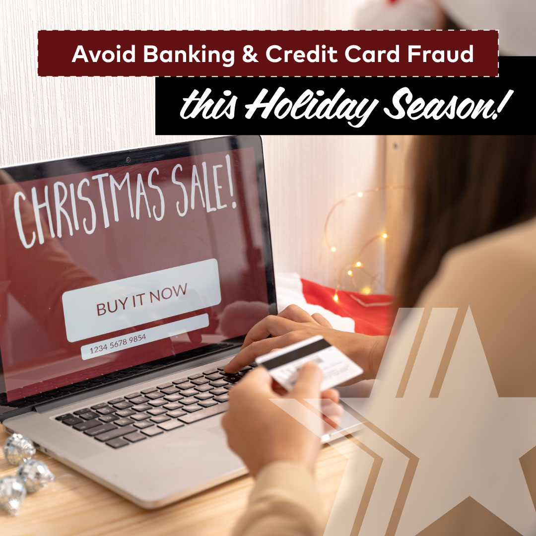 Avoid Banking and Credit Card Fraud this Holiday Season