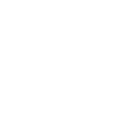 Quick & secure access icon