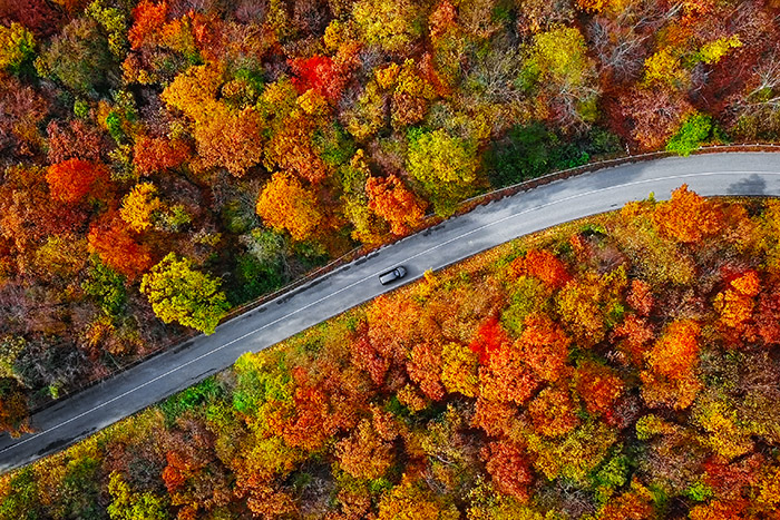 Scenic Drives You Can Take on Country Roads This Fall