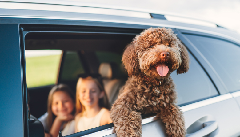 Image representing Insurance Plans