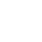 Borrower's Select Money Market icon