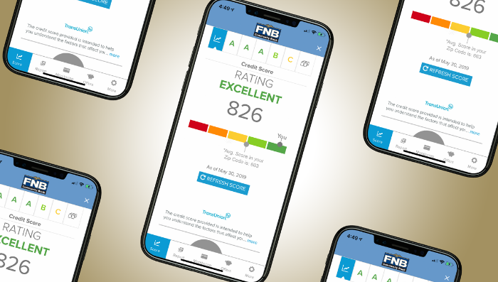 Credit Sense: FNB's new, free tool to check your credit score within our mobile banking app