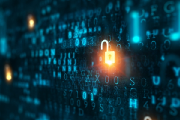 12 Data Security Musts for Small Businesses 12 Data Security Musts for Small Businesses