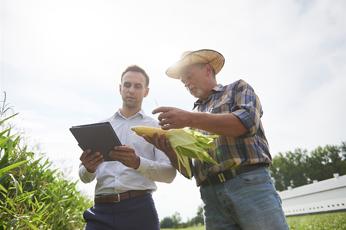 Agriculture insight: Major players nurture innovation by supporting startups Agriculture insight: Major players nurture innovation by supporting startups