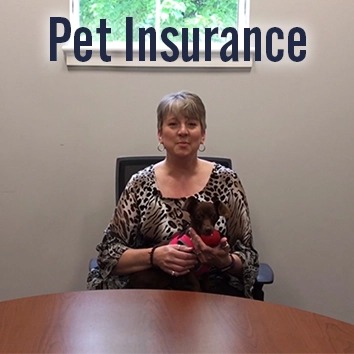 Video: Pet Insurance Video: Pet Insurance