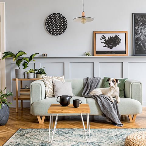 Image of Home Equity Loan