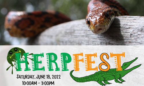 HerpFest: Celebration of Reptiles & Amphibians
