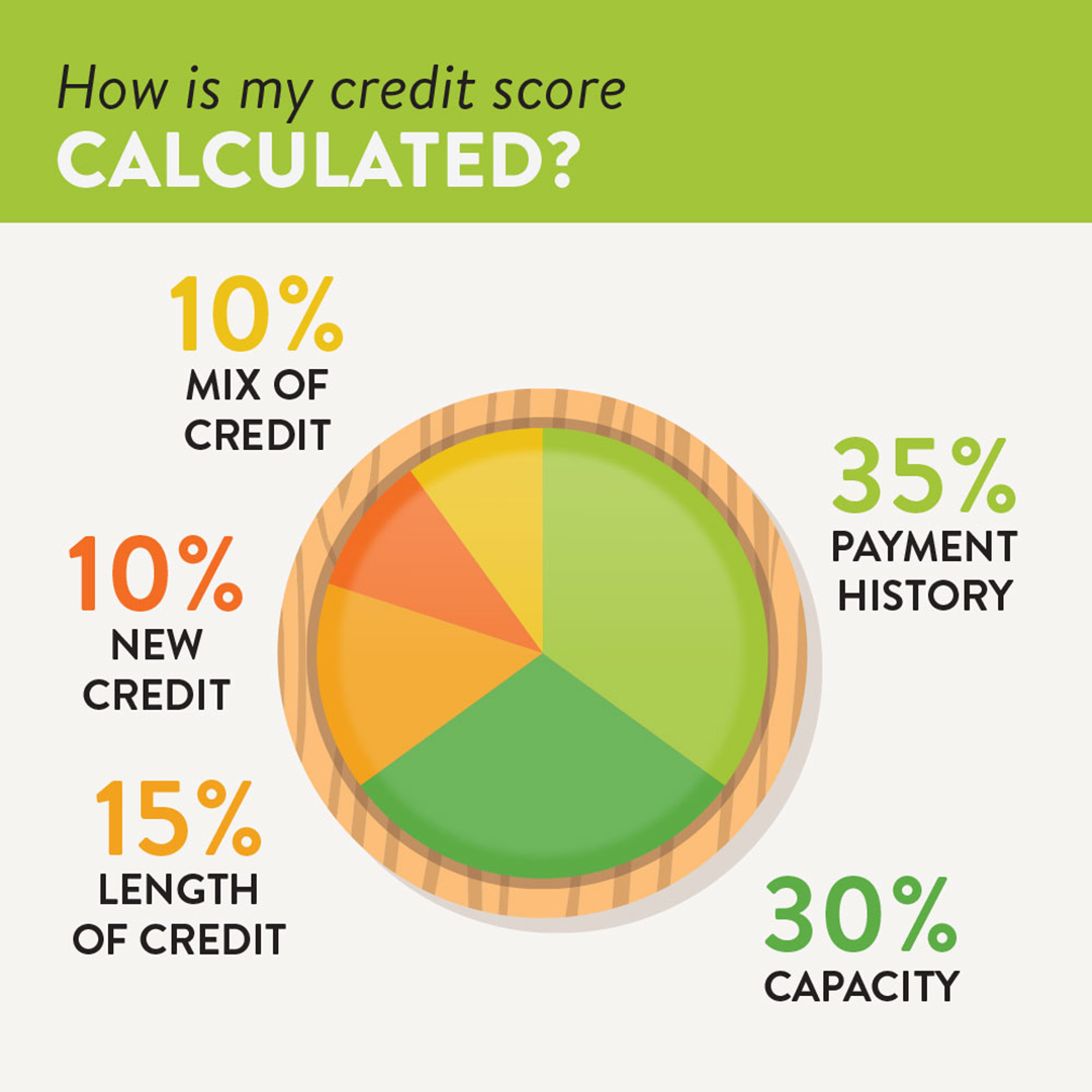 Breakdown of a Credit Score