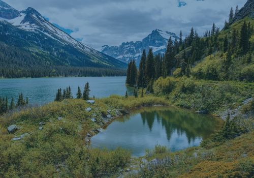 Spring 2026 Newsletter 