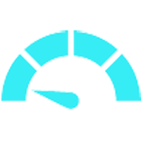Credit Score icon