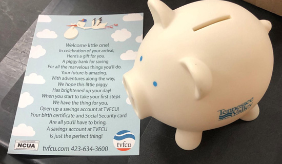 Tennessee Valley Federal Credit Union Helps New Parents Save