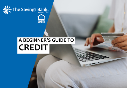 A Beginner?s Guide to Credit