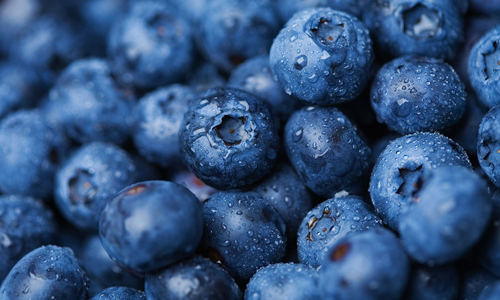 Alabama Blueberry Festival