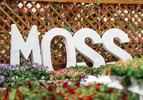 Moss Greenhouses: Cultivating a Legacy of Innovation