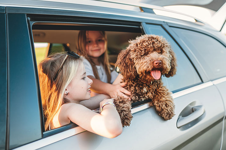 Credit Union Auto Loan Rates: Why They Are Often Better Than Banks Credit Union Auto Loan Rates: Why They Are Often Better Than Banks