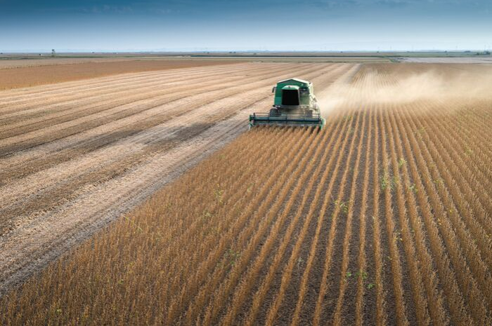 A glimmer of hope for the 2019 Minnesota soybean harvest? A glimmer of hope for the 2019 Minnesota soybean harvest?