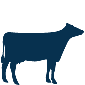 Livestock Loans icon