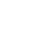 1873 Saver icon
