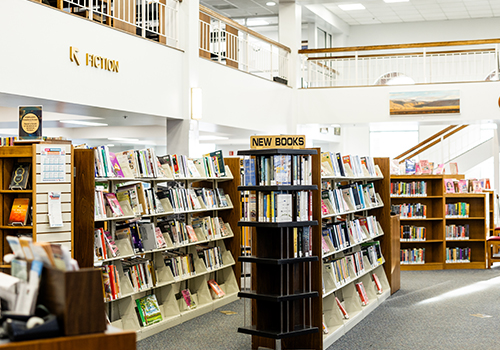 How Idaho Libraries Meet Families Where They Are