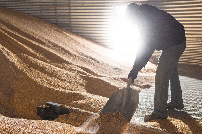 A look at agriculture trends with the MN Millennial Farmer A look at agriculture trends with the MN Millennial Farmer