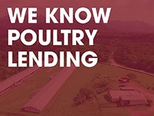 Learn more about poultry loans at First Financial Bank