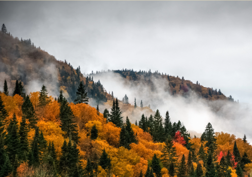 Should You Consolidate Your Debt This Fall? Should You Consolidate Your Debt This Fall?