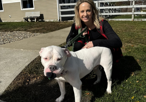 A Spook-tacular Adoption: Ghostie Finds a Home