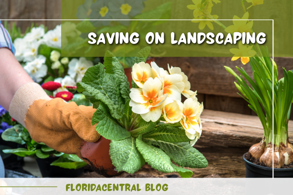 Saving on Landscaping