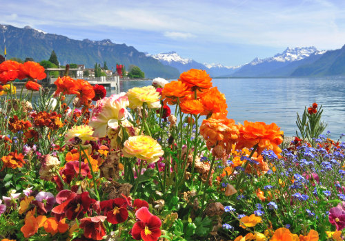 Spring Into Smarter Finances: Fresh Ways to Grow This April