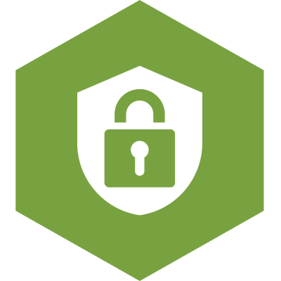 Safety & Security/Fraud Tips Icon
