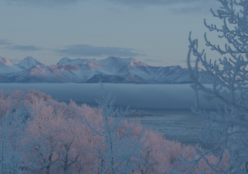 Winter 2025 Newsletter