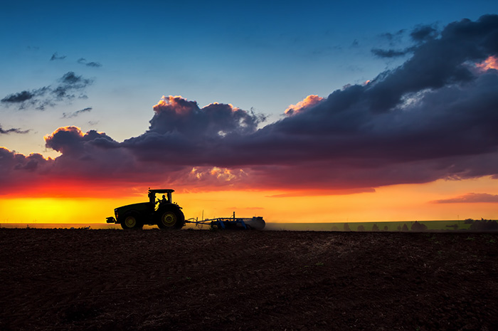 Are cover crops right for your operation? Are cover crops right for your operation?