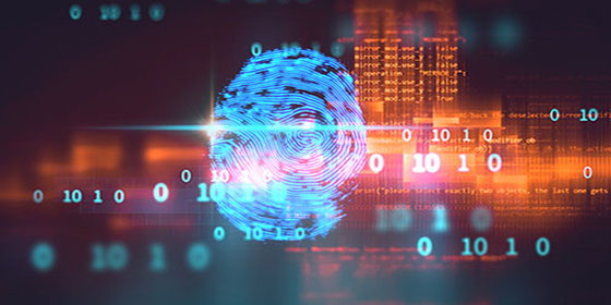 Tips to Keep Your Account Safe