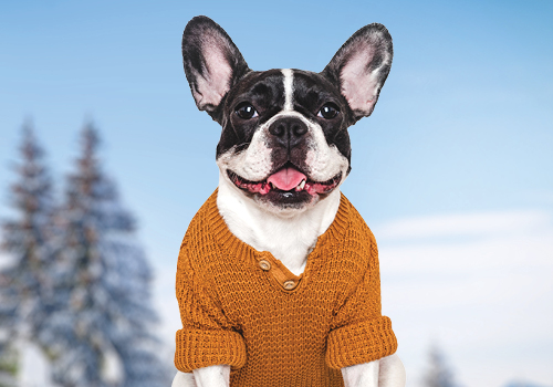 Time To Roll Up Your Sleeves & Pay Down Debt.