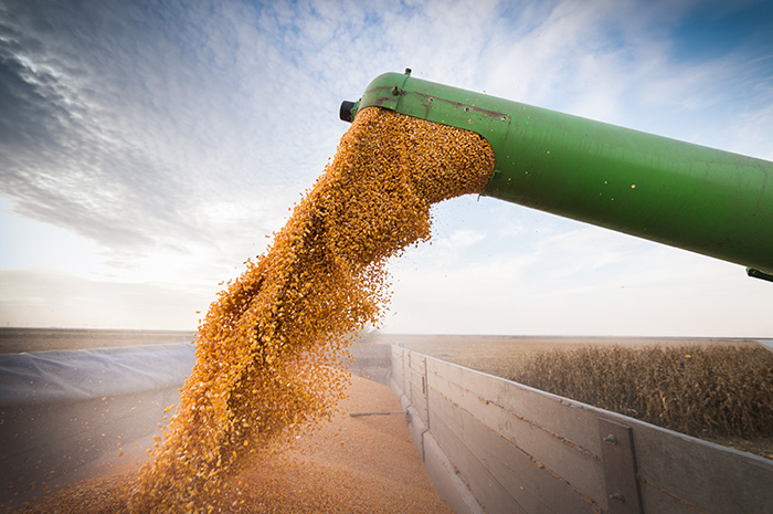 What do corn and soybean futures tell us about the next five years? What do corn and soybean futures tell us about the next five years?