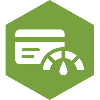 Credit Insights By Savvy Money® Icon