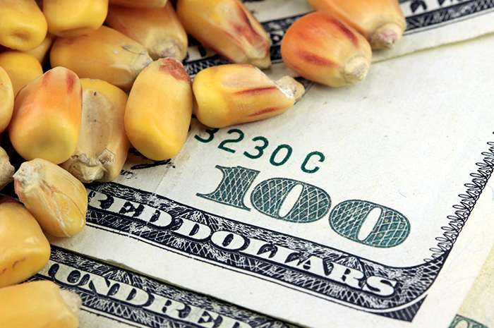 Bracing for the tariff effect: What does it mean for corn, soybean and pork prices? Bracing for the tariff effect: What does it mean for corn, soybean and pork prices?