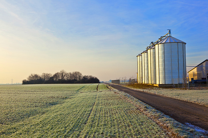 5 key issues for pork producers in 2018 5 key issues for pork producers in 2018