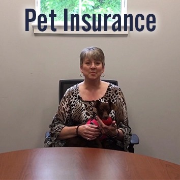 Video: Pet Insurance