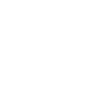 CUSTOMIZED PLANS icon