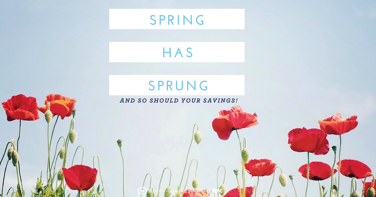 Spring Has Sprung and So Should Your Savings!