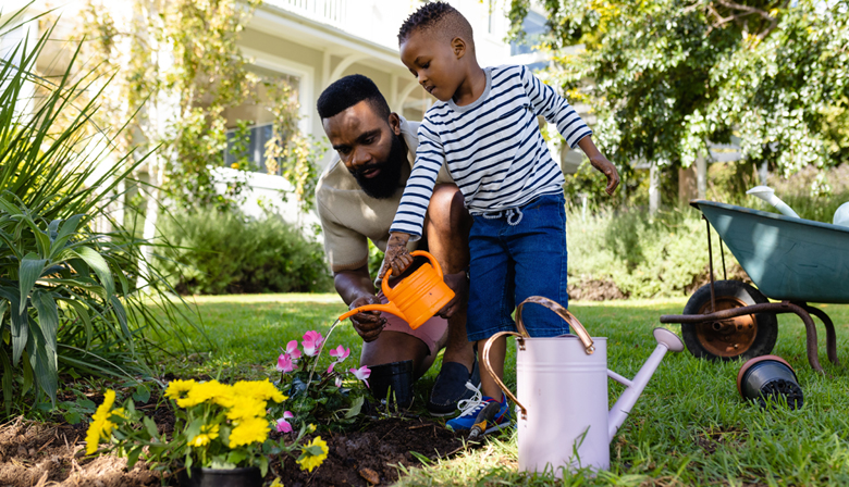 Image representing Financial Services