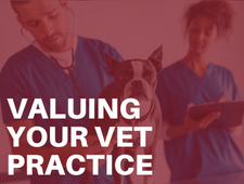 Learn more in this webinar about valuing your veterinary practice