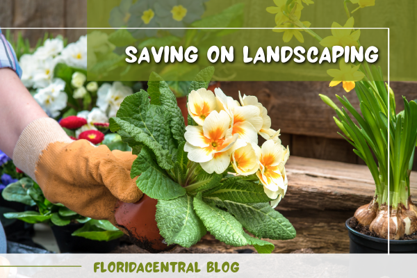 Saving on Landscaping Saving on Landscaping