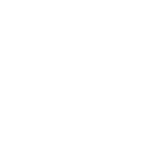 1873 High Interest  icon