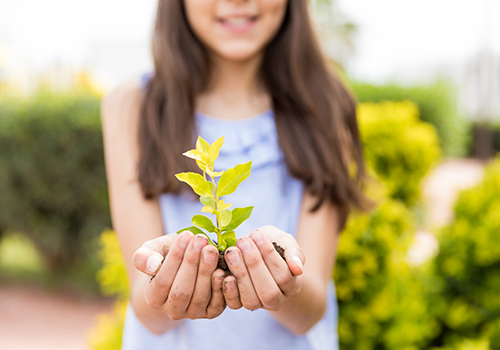 7 Ways to Celebrate Earth Day at Home 7 Ways to Celebrate Earth Day at Home