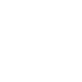 Checking icon