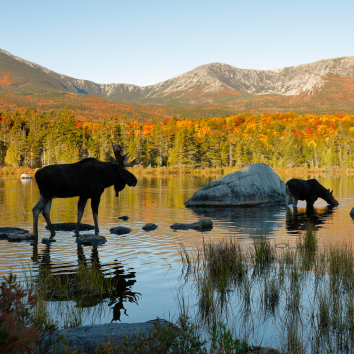 Vacationland Year Round - Atlantic Staff's Favorite Maine Fun Vacationland Year Round - Atlantic Staff's Favorite Maine Fun