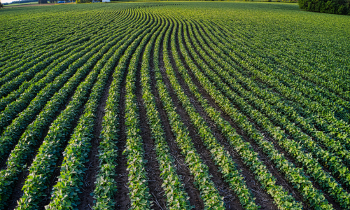 February Is the Ideal Time to Review Your Ag Banking Needs